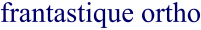 Frantastique Orthographe logo