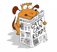 Newspaper